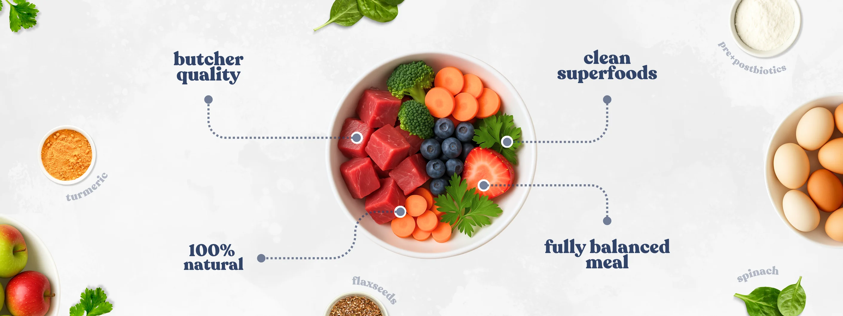 Superfood Nutrition for Thriving Pets