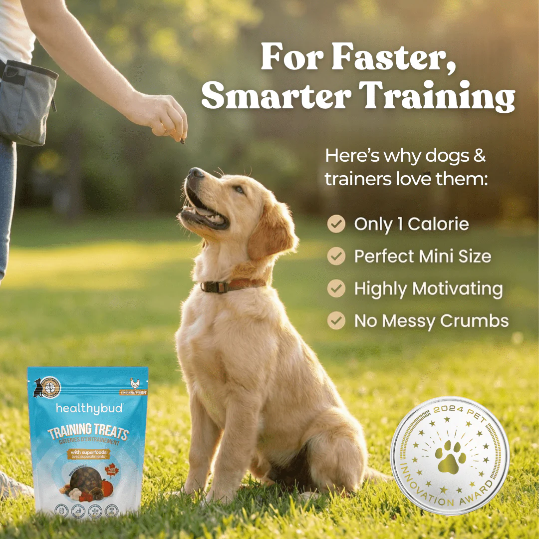 Chicken Mini Training Treats - Image 6