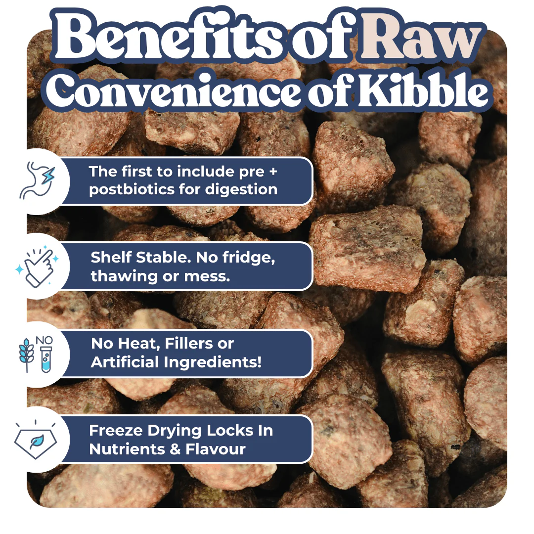 Lamb + Salmon Meal Bites - Image 11