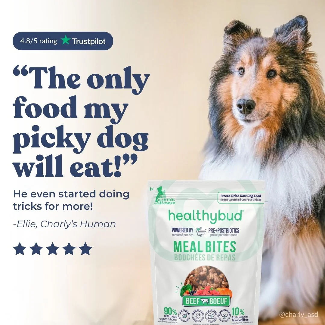 Beef Meal Bites - Image 10
