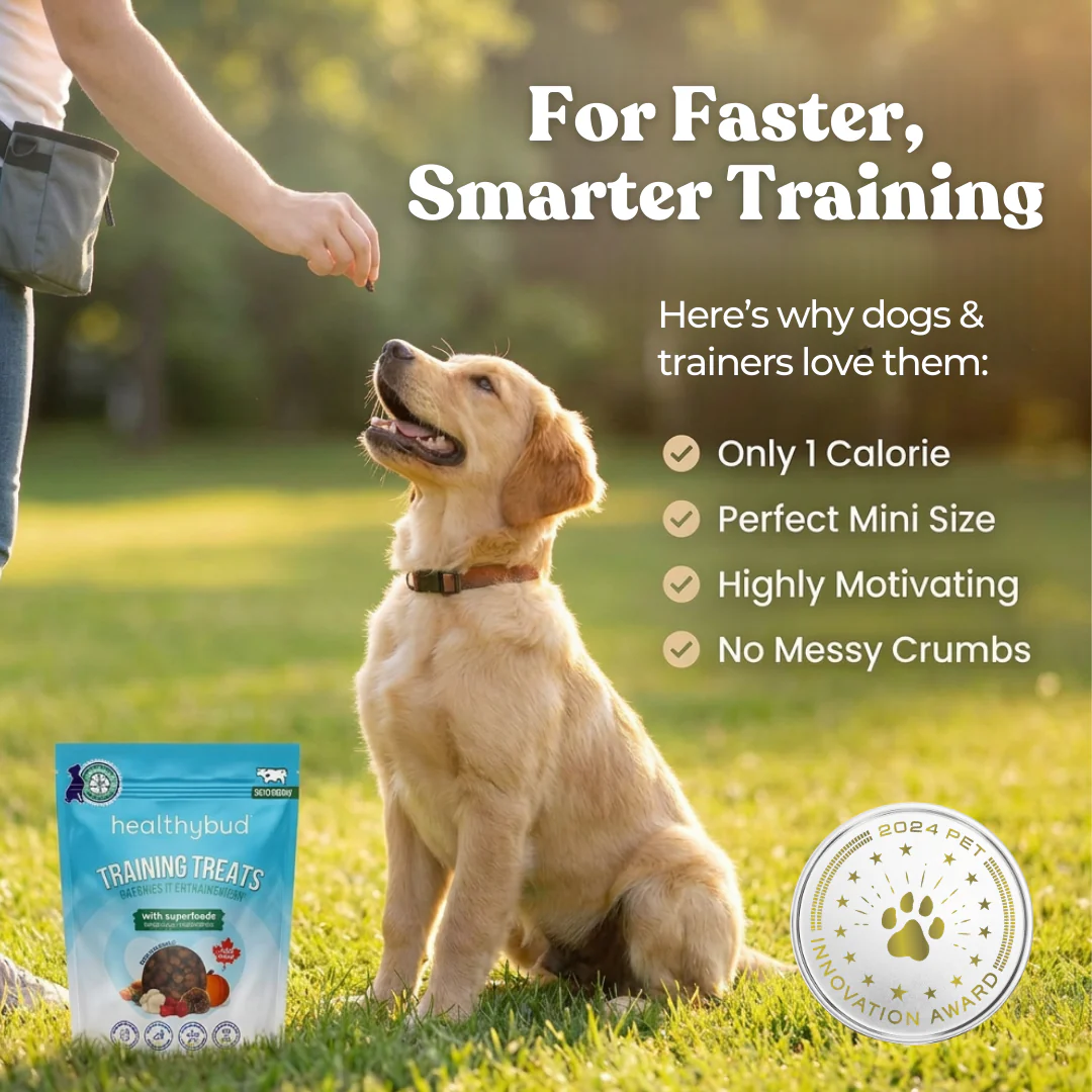 Beef Mini Training Treats - Image 6