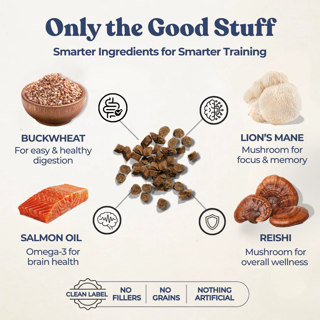 Beef Mini Training Treats - Image 4