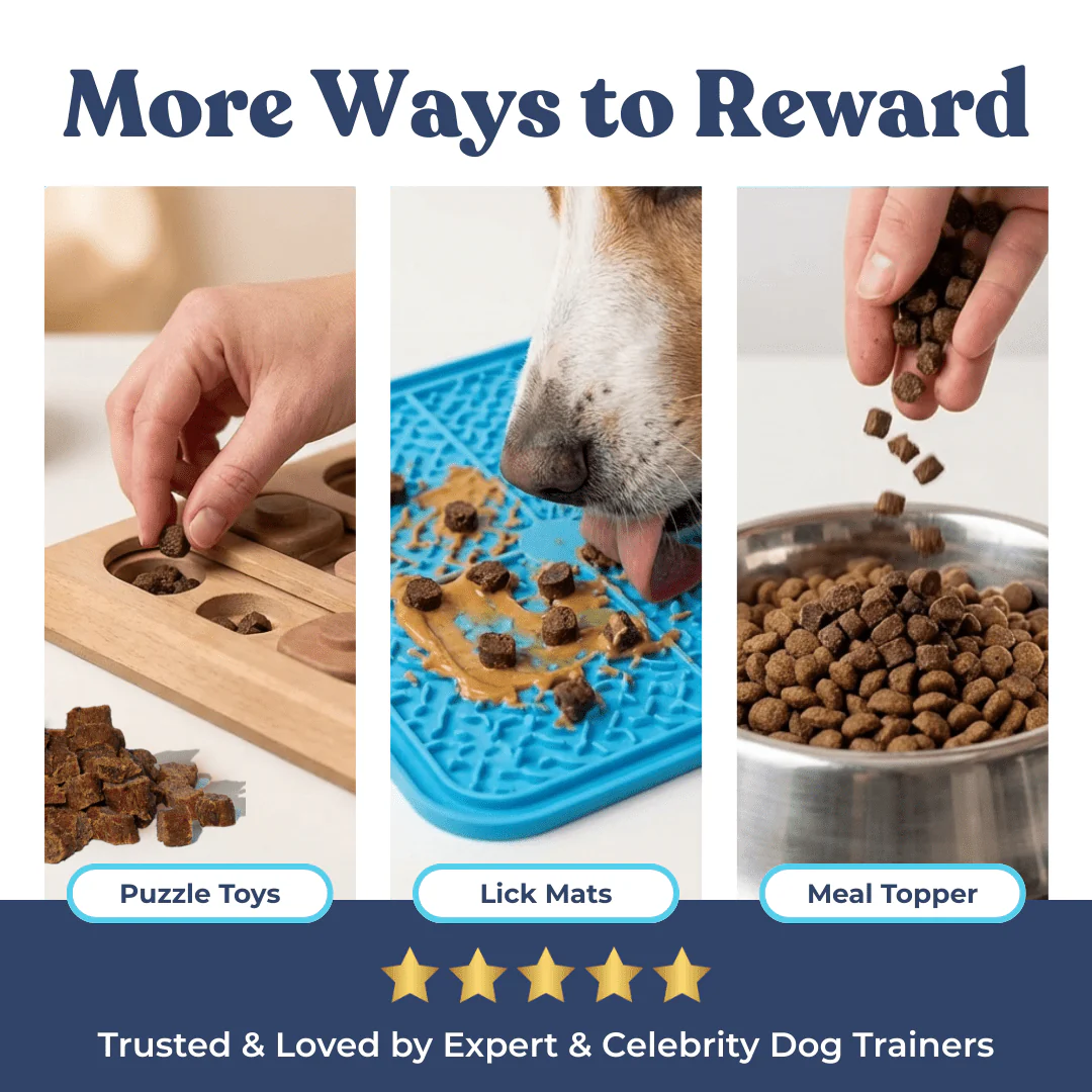 Beef Mini Training Treats - Image 7